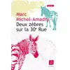 Image de Deux zèbres sur la 30e rue Marc Michel-Amadry