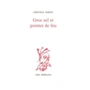 Image de Gros sel Léon-Paul Fargue