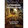 Image de La fabuleuse histoire du sel : Sur les chemins de l'or blanc André Besson