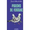 Image de Pigeons de fortune Daniel Marchildon