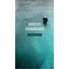 Image de Nouvelles d'humanitaires