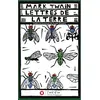 Image de Lettres de la terre Mark Twain