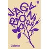 Image de La Vagabonde Colette