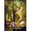 Image de Les ailes d'Alexanne Tome 3 : le faucheur Anne Robillard