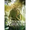 Image de Légendes d'Ashur-Sîn Tome 1 : Aranéa Anne Robillard