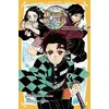 Image de Demon slayer Tome 1 : Tanjiro & Nezuko l'origine de leur destin Shuka Matsuda, Koyoharu Gotouge