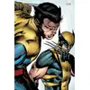 Image de Je suis Wolverine Collectif