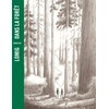 Image de Dans la forêt Lomig