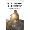 Image de De la tendresse à la tristesse