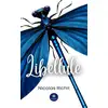 Image de Libellule
