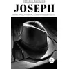 Image de Joseph : La vie, l'amour, l'aventure, l'espoir et quelques robots... Manu Massabova