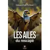 Image de Les ailes du rescapé Edouard Kali-Tchikati