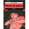 Image de Fleurs de pierre Tome 2 Hisashi Sakaguchi