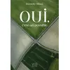 Image de Oui, c'est un possible Dorothy Shoes