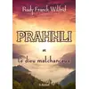 Image de Prahnli et le dieu malchanceux Rudy Franck Wilfrid