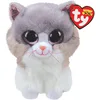 Image de TY - Beanie Boo's - Peluche Asher le Chat - 15 cm - TY36306, Gris / Blanc