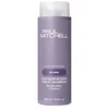 Image de Paul Mitchell - Soin Du Cheveu - Platinum Blonde Shampoo - Shampooing 300ml