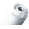 Image de Epson Premium Semigloss Photo Paper Papier semi-brillant Rouleau (40,6 cm x 30,5 m) 251 g/m2 C13S041743