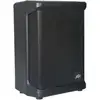 Image de Peavey Solo Battery Powered PA haut-parleur de batterie mobile 90W, 6,5 pouces