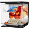 Image de Marina Aquarium Betta Kit Art Déco 2 L