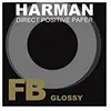 Image de 'Harman 1171189   Papier Direct positif 11 x 14, brillance, 10 feuilles, couleur noir