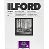 Image de Ilford 1x 50 MG RC DL 1M 24x30