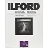 Image de Ilford 1x100 MG RC DL 44M 10,5x14,8