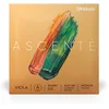 Image de D'Addario Ascenté Viola Cordes Corde La (A - UK) Short Scale