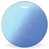 Image de Evans B14HB - Hydraulic Blue Caisse Claire 14"