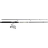Image de Mitchell Gt Pro Spinning Combo 2.40 m