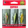 Image de RAPALA - KIT Truite 3 LEURRES (3 CM)