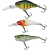 Image de Berkley Pulse Hard Bait Packs, 3 leurres durs sélectionnés par l'équipe de pêcheurs Professionnels de Berkeys développés pour la Truite et la Perche, Excellente Action de nage et Vibration