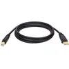 Image de Tripp Lite (U022 006) 10-Pack 1,8 m USB 2.0 A mâle vers B mâle Or câble de périphérique