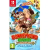 Image de Donkey Kong Country Tropical Freeze