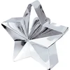 Image de Silver Star Balloon Weight