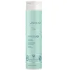 Image de Joico Innerjoi Hydrate Shampoo