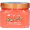 Image de Tree Hut Bikini Reef Shea Sugar Scrub 510 g