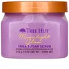 Image de Moonlight Glow Gommage équilibrant au sucre de karité   Corps et être   510,3 g, 0,5 kg (lot de 1)