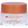 Image de Tree Hut Sugarlips Lip Scrub Sweet Mint 9 g