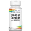 Image de SOLARAY YEAST CLEANSE PLUS BERBERINE 90vcap.   complément complet proposé en gélules pratiques, recommandé en complément d’une alimentation équilibrée et devient un allié fiable dans la routine de tou