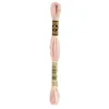 Image de DMC - Fil de Coton à Broder 6 brins - Rose Coquillage Ultra Clair
