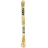 Image de DMC 6-Strand Embroidery Cotton Floss, Light Hazelnut Brown [Misc.] (japan import)