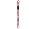 Image de DMC 6-Strand Embroidery Cotton Floss, Cranberry [Misc.] (japan import)