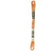Image de Fil Mouliné DMC Gold Concept 8M Col. 722 Broderie