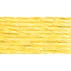 Image de DMC - Mouliné Spécial, 100% Coton | Échevettes de 8 m - 6 brins