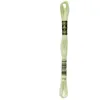 Image de Fil Mouliné DMC Gold Concept 8M Col. 772 Broderie