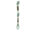 Image de DMC Coton à Broder 6-Strand Floss, Medium bébé Vert