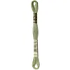 Image de Fil Mouliné DMC Gold Concept 8M Col. 3053 Broderie