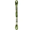 Image de Fil Mouliné DMC Gold Concept 8M Col. 3347 Broderie