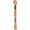 Image de Fil Mouliné DMC Gold Concept 8M Col. 3825 Broderie